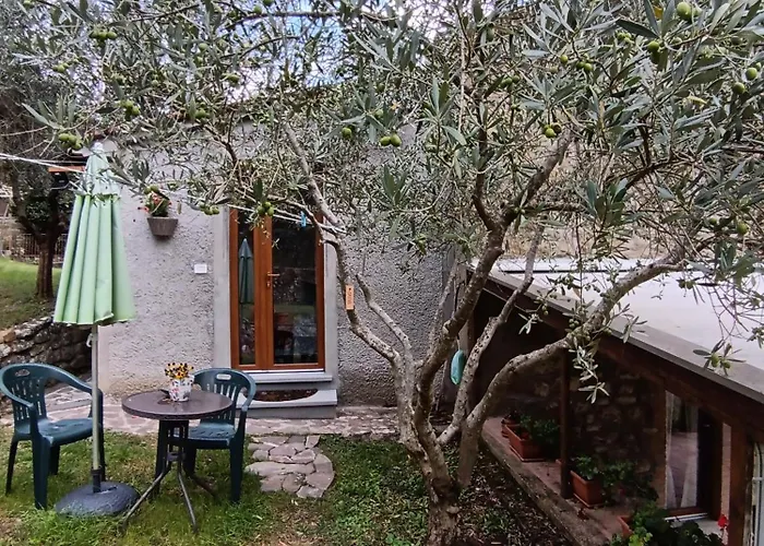 Bed & Breakfast Casale Agrifoglio -