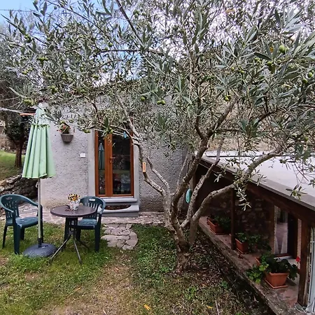 B&B Casale Agrifoglio -